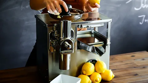 Cold Press Juicer